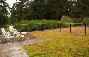 Platinum House, Exterior, Green Roof